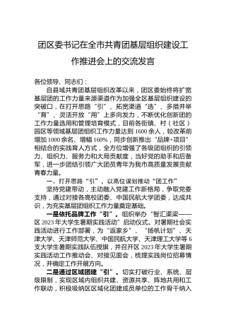 团区委书记在全市共青团基层组织建设工作推进会上的交流发言