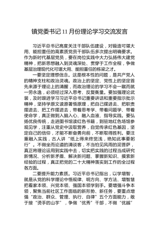 镇党委书记11月份理论学习交流发言