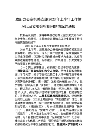 政府办公室机关支部2023年上半年工作情况以及支委会检视问题情况的通报