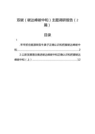 双碳（碳达峰碳中和）主题调研报告（2篇）