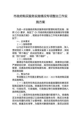 市政府购买服务实施情况专项整治工作实施方案