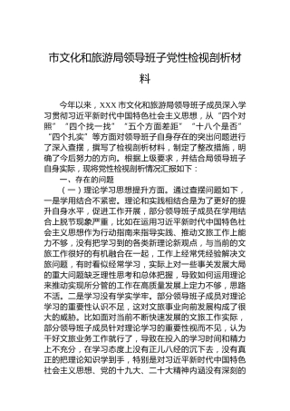 市文化和旅游局领导班子党性检视剖析材料