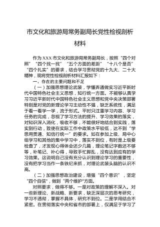 市文化和旅游局常务副局长党性检视剖析材料