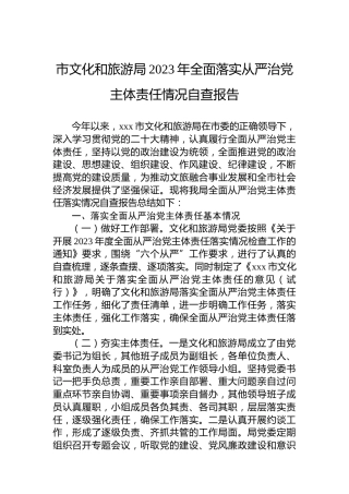 市文化和旅游局2023年全面落实从严治党主体责任情况自查报告