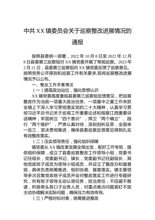 镇委员会关于巡察整改进展情况的通报（2023年）