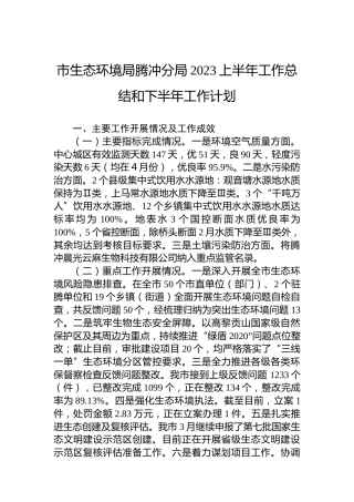 市生态环境局腾冲分局2023上半年工作总结和下半年工作计划（20230606）
