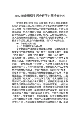 2022年度组织生活会班子对照检查材料4
