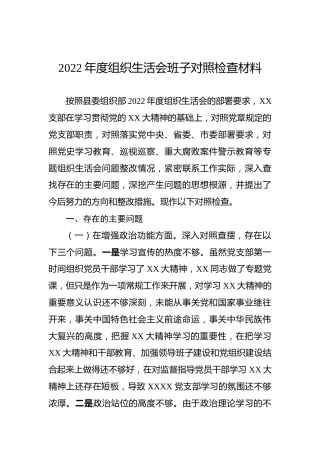 2022年度组织生活会班子对照检查材料1