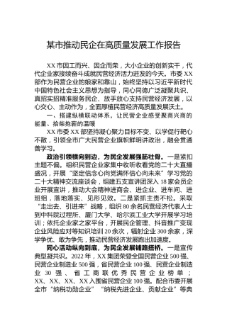 某市推动民企在高质量发展工作报告