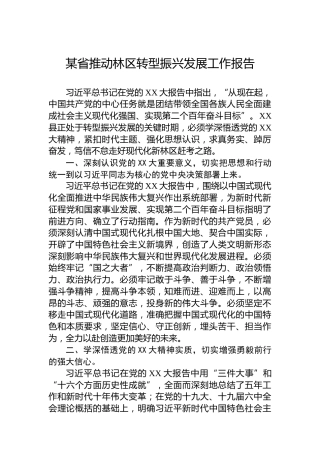 某省推动林区转型振兴发展工作报告
