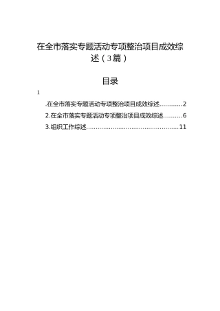 在全市落实专题活动专项整治项目成效综述（3篇）