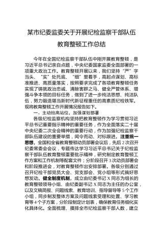 某市纪委监委关于开展纪检监察干部队伍教育整顿工作总结