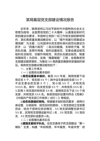 某局基层党支部建设情况报告