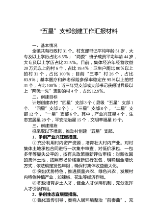 “五星”支部创建工作汇报材料