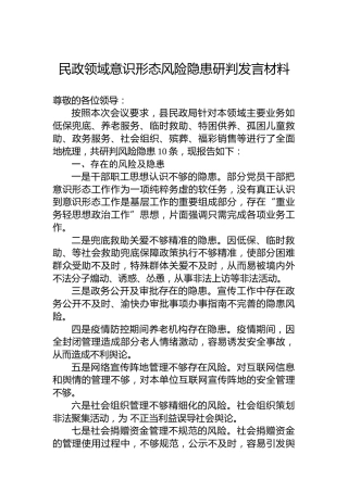 民政领域意识形态风险隐患研判发言材料