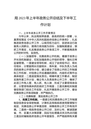 局2023年上半年政务公开总结及下半年工作计划