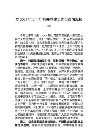 局2023年上半年机关党建工作自查情况报告