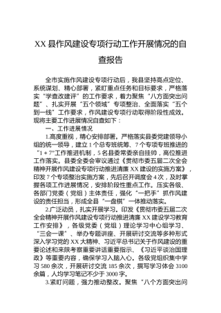 XX县作风建设专项行动工作开展情况的自查报告