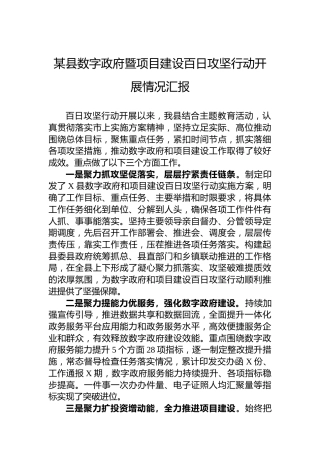 某县数字政府暨项目建设百日攻坚行动开展情况汇报