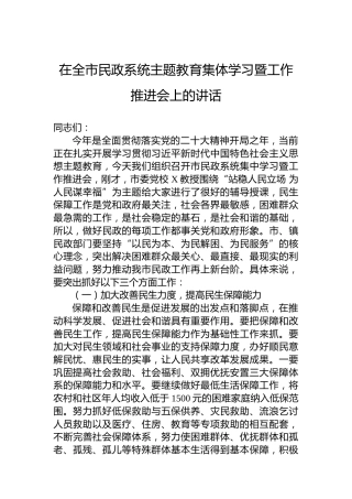 2023年某领导干部在全市民政系统主题教育集体学习暨工作推进会上的讲话