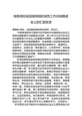 税务局在巡回指导组阶段性工作总结推进会上的汇报发言