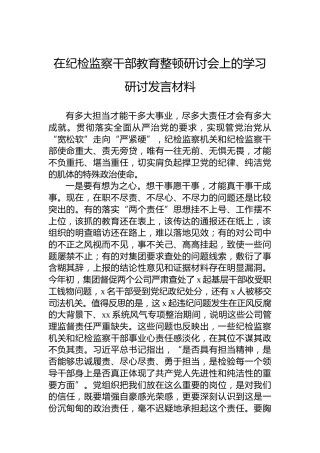 在纪检监察干部教育整顿研讨会上的学习研讨发言材料