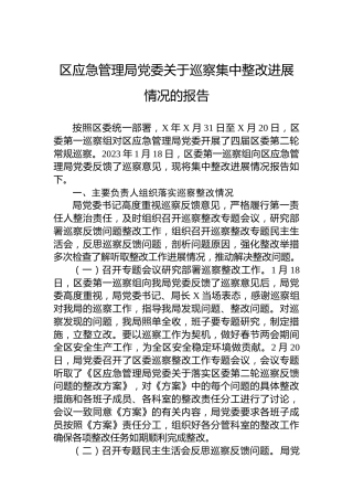 区应急管理局党委关于巡察集中整改进展情况的报告