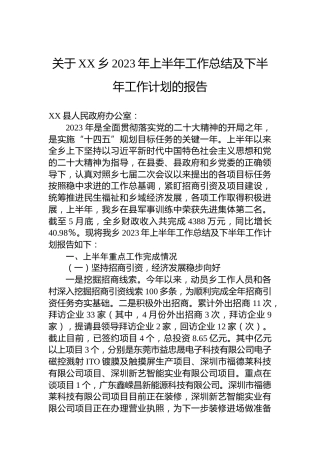 乡2023年上半年工作总结及下半年工作计划的报告（20230611）
