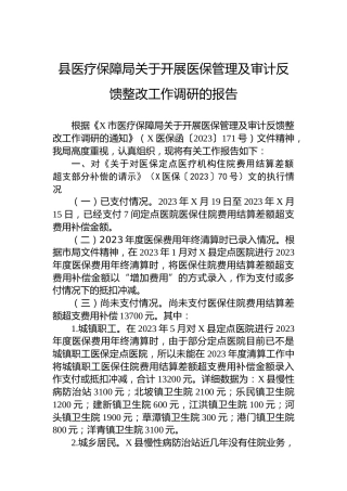县医疗保障局关于开展医保管理及审计反馈整改工作调研的报告