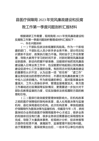 县医疗保障局2023年党风廉政建设和反腐败工作第一季度问题剖析汇报材料