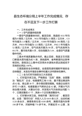 县生态环境分局上半年工作完成情况、存在不足及下一步工作打算