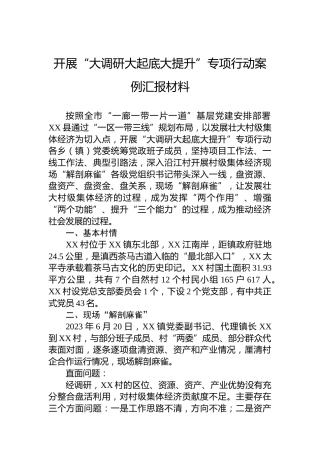 开展“大调研大起底大提升”专项行动案例汇报材料