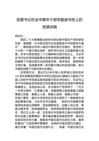 团委书记在全市青年干部专题读书班上的党课讲稿