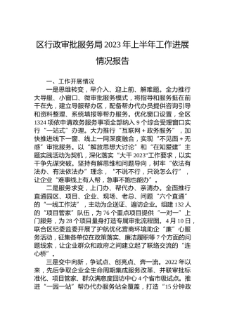 区行政审批服务局2023年上半年工作进展情况报告