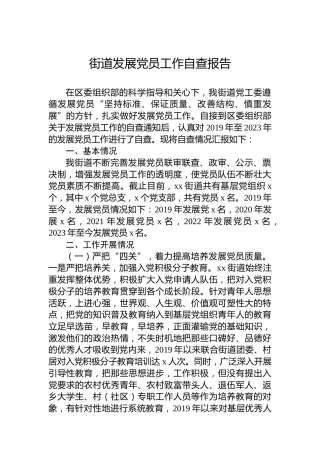 街道发展党员工作自查报告
