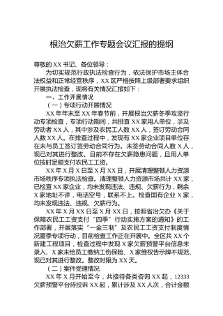 根治欠薪工作专题会议汇报的提纲