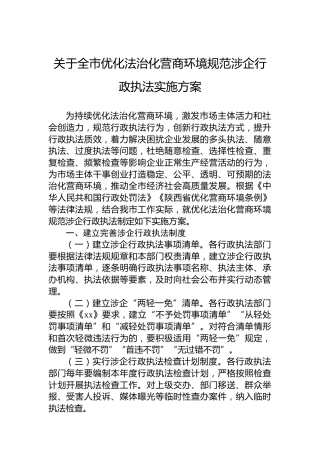 关于全市优化法治化营商环境规范涉企行政执法实施方案