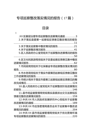 专项巡察整改落实情况的报告（17篇）