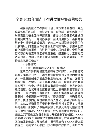 全县2023年重点工作进展情况督查的报告