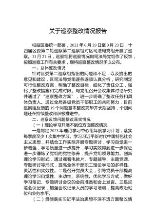 关于巡察整改情况报告