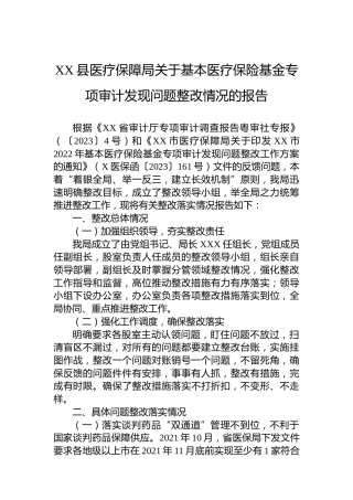 XX县医疗保障局关于基本医疗保险基金专项审计发现问题整改情况的报告
