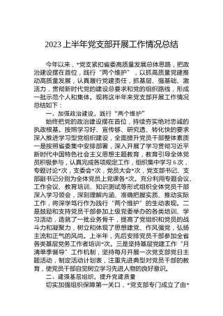 2023上半年党支部开展工作情况总结