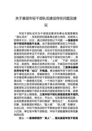 关于基层年轻干部队伍建设存在问题及建议