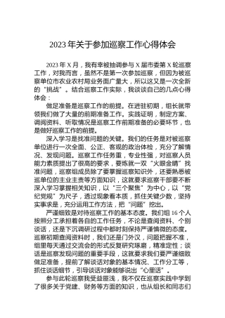 2023年关于参加巡察工作心得体会