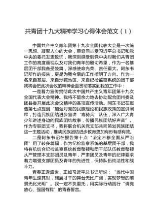 共青团十九大精神学习心得体会范文（4篇）