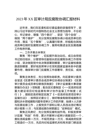2023年XX区审计局反腐败协调汇报材料
