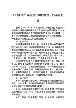XX镇2023年度坚守耕地红线工作实施方案