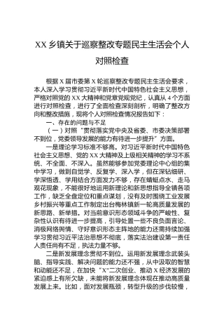 XX乡镇关于巡察整改专题民主生活会个人对照检查