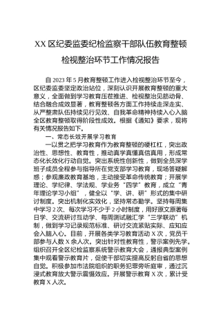 XX区纪委监委纪检监察干部队伍教育整顿检视整治环节工作情况报告