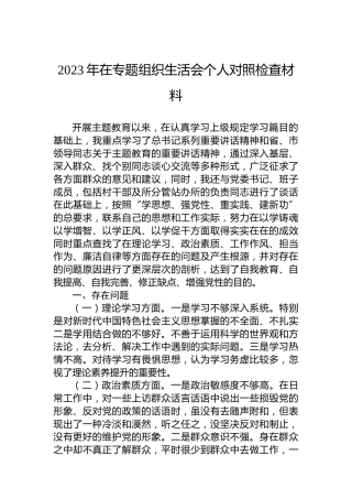 2023年在专题组织生活会个人对照检查材料